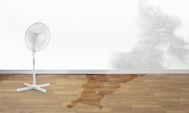 Best Residential water damage restoration  in Hillsboro, ND